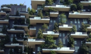 L'observatoire des villes vertes