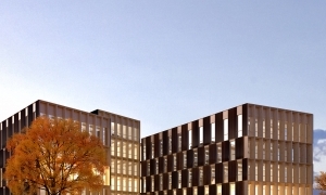 Carré de Bois