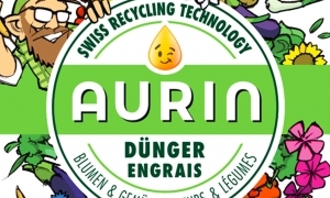 Aurin
