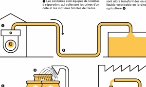 La séparation à la source