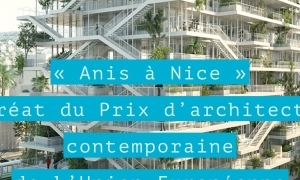 Anis à Nice