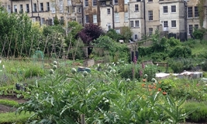 La nature en ville