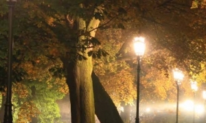La ville, la nuit