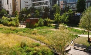 Aménager avec la nature