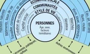 Territoires, incubateurs de santé ?